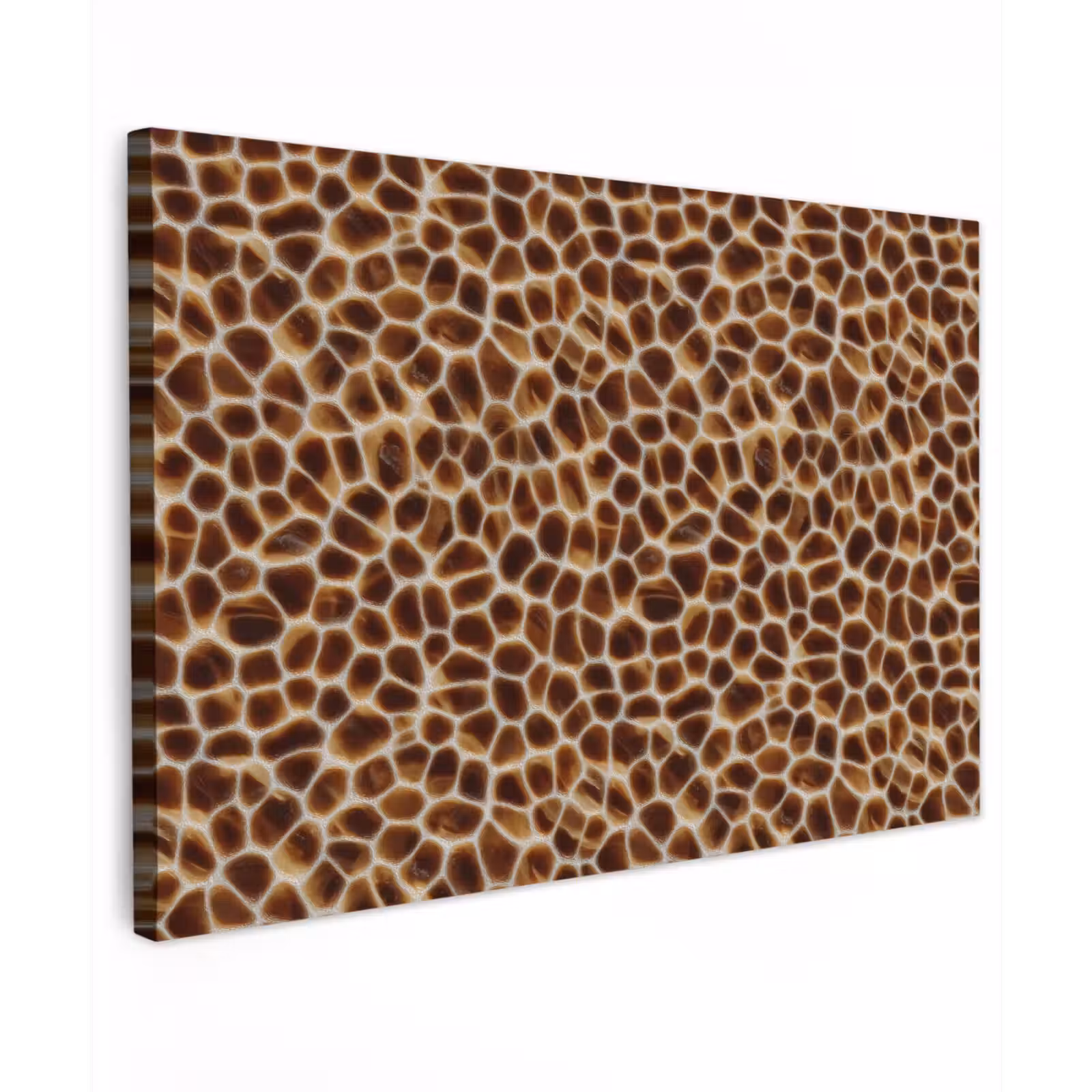 Canvas schilderij - Schildpad - Bruin - Patroon — 1