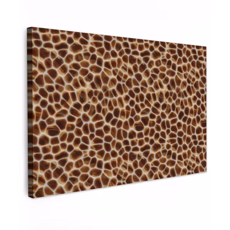 Canvas schilderij - Schildpad - Bruin - Patroon — 1