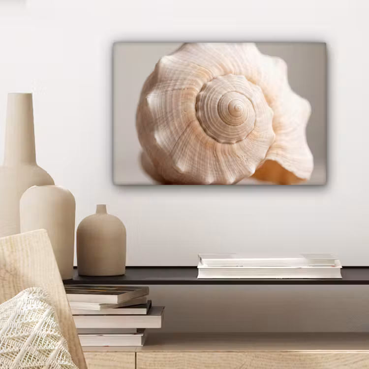 Canvas schilderij - Schelp - Detail - Beige — 5