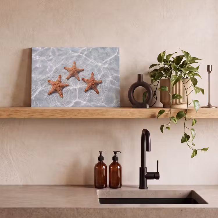 Canvas schilderij - Zeesterren - Water - Helder — 3