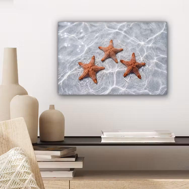 Canvas schilderij - Zeesterren - Water - Helder — 5