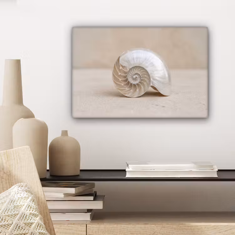 Canvas schilderij - Schelp - Spiraal - Beige — 5