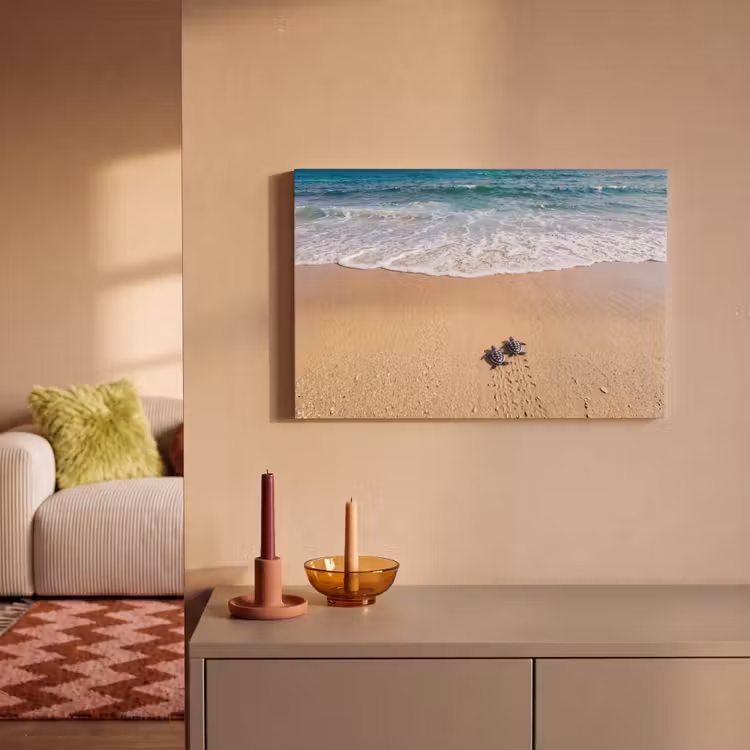 Canvas schilderij - Schildpad - Jong - Strand - Oceaan - Blauw — 1