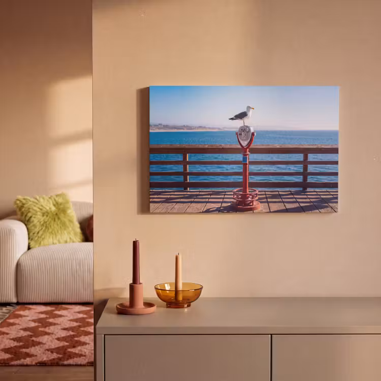 Canvas schilderij - Vogel - Verrekijker - Kust - Zee - Blauw — 1