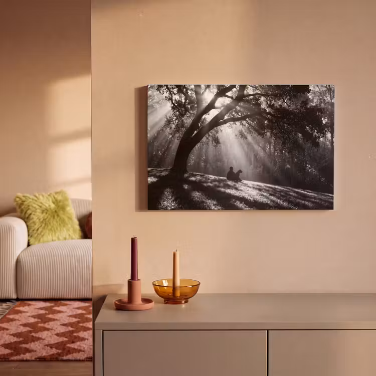 Canvas schilderij - Mens - Hond - Natuur - Zwart-wit - Silhouet — 2