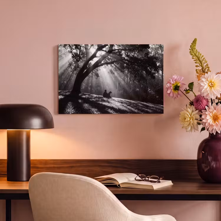 Canvas schilderij - Mens - Hond - Natuur - Zwart-wit - Silhouet — 4