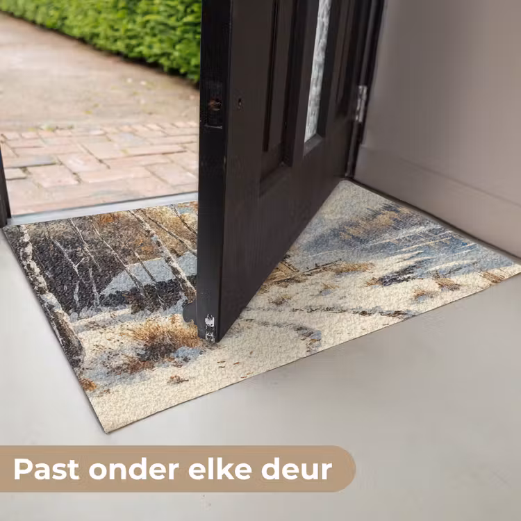 Deurmat - Winter - Sneeuw - Huis - Natuur — 7