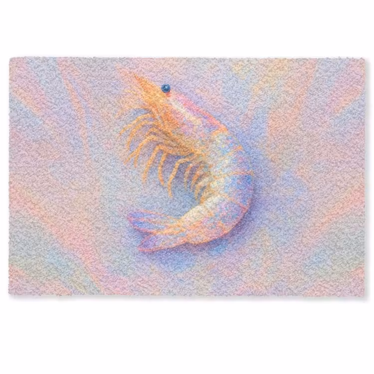 Deurmat - Garnaal - Subtiele structuur - Blauw - Roze — 1