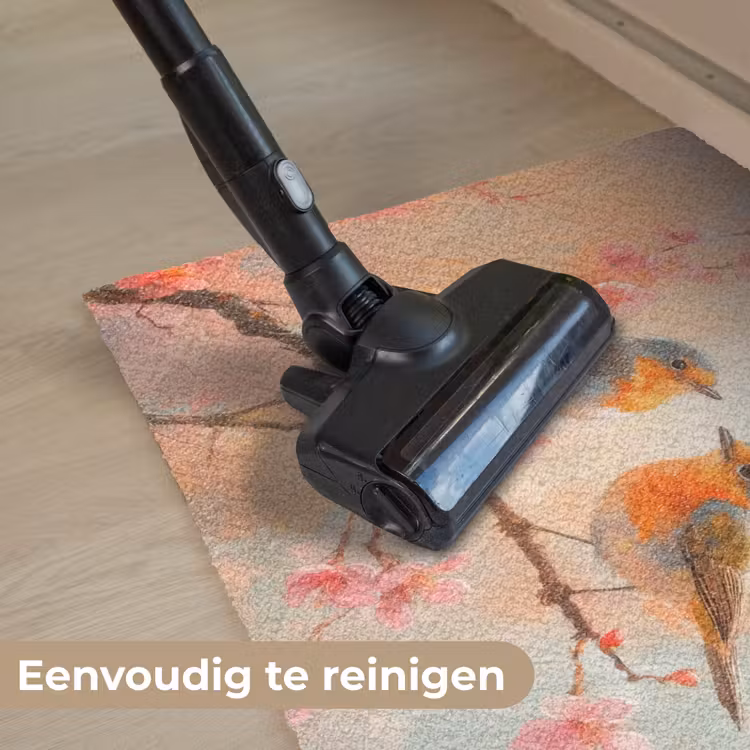 Deurmat - Roodborstjes - Sierlijk - Bloesemtak — 9