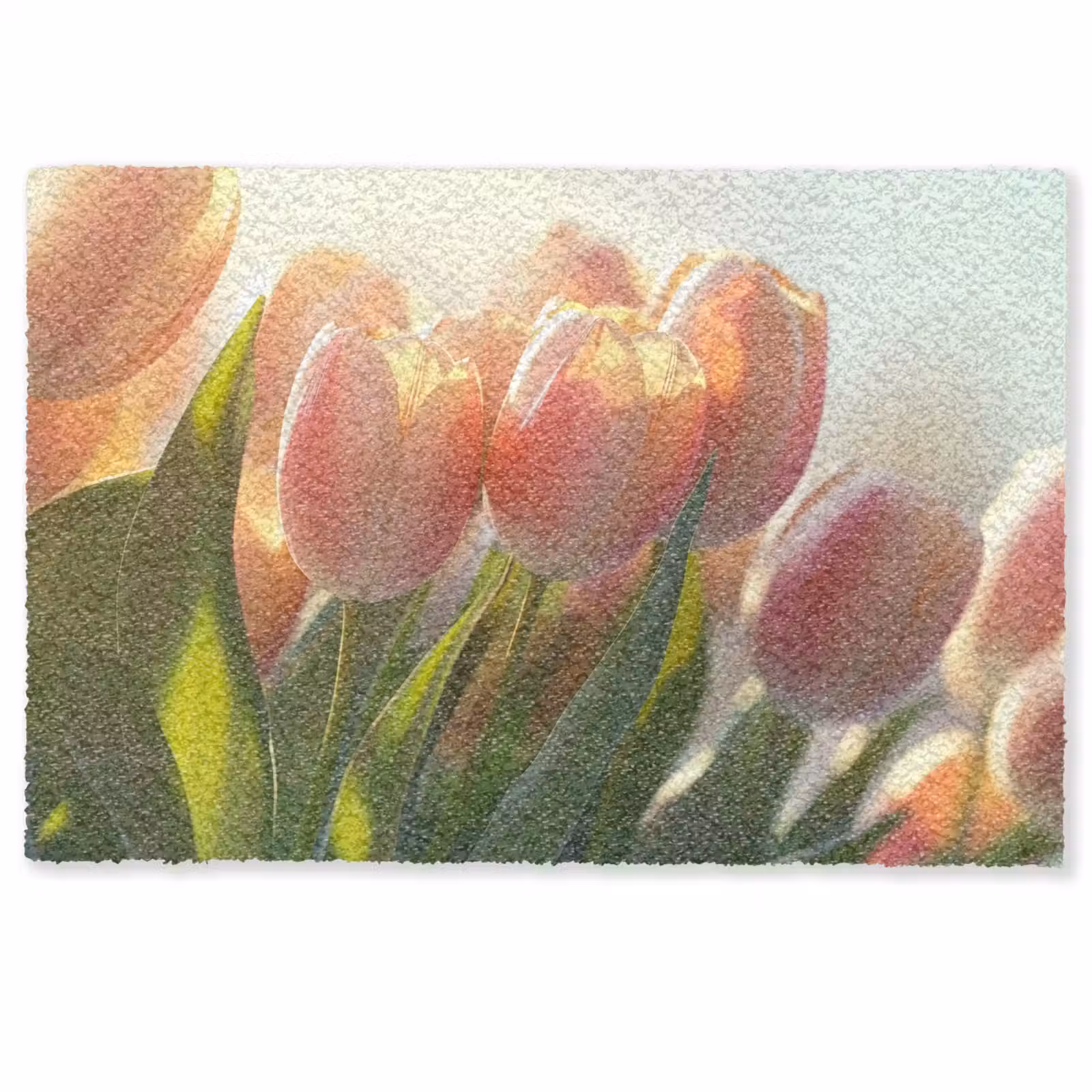 Deurmat - Tulpen - Roze - Zonnestralen — 1