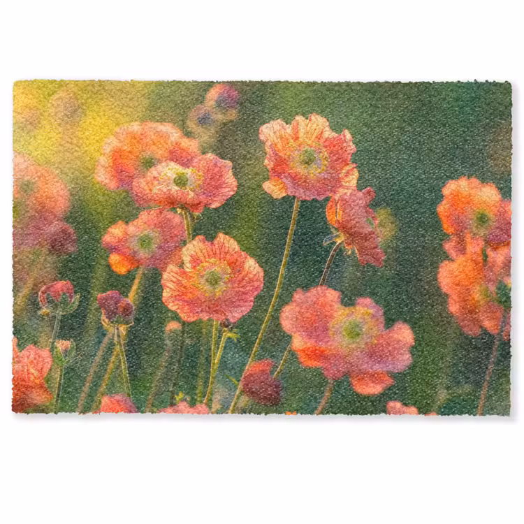 Deurmat - Bloemenveld - Zonnestralen - Oranje — 1