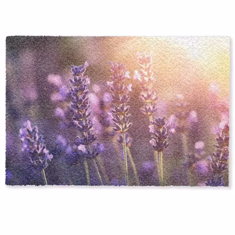 Deurmat - Lavendelbloemen - Paars - Zonlicht — 1