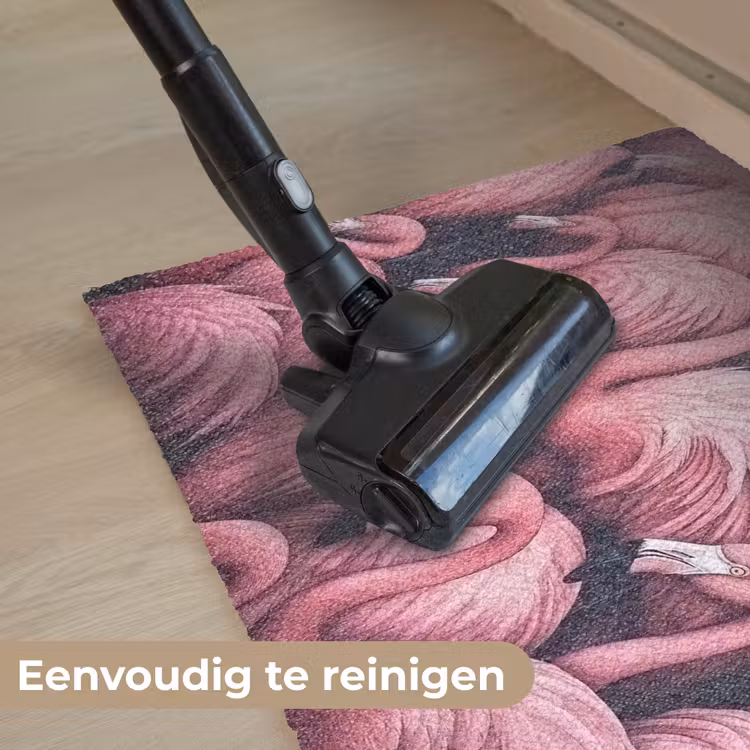 Deurmat - Flamingo - Roze - Dieren — 9