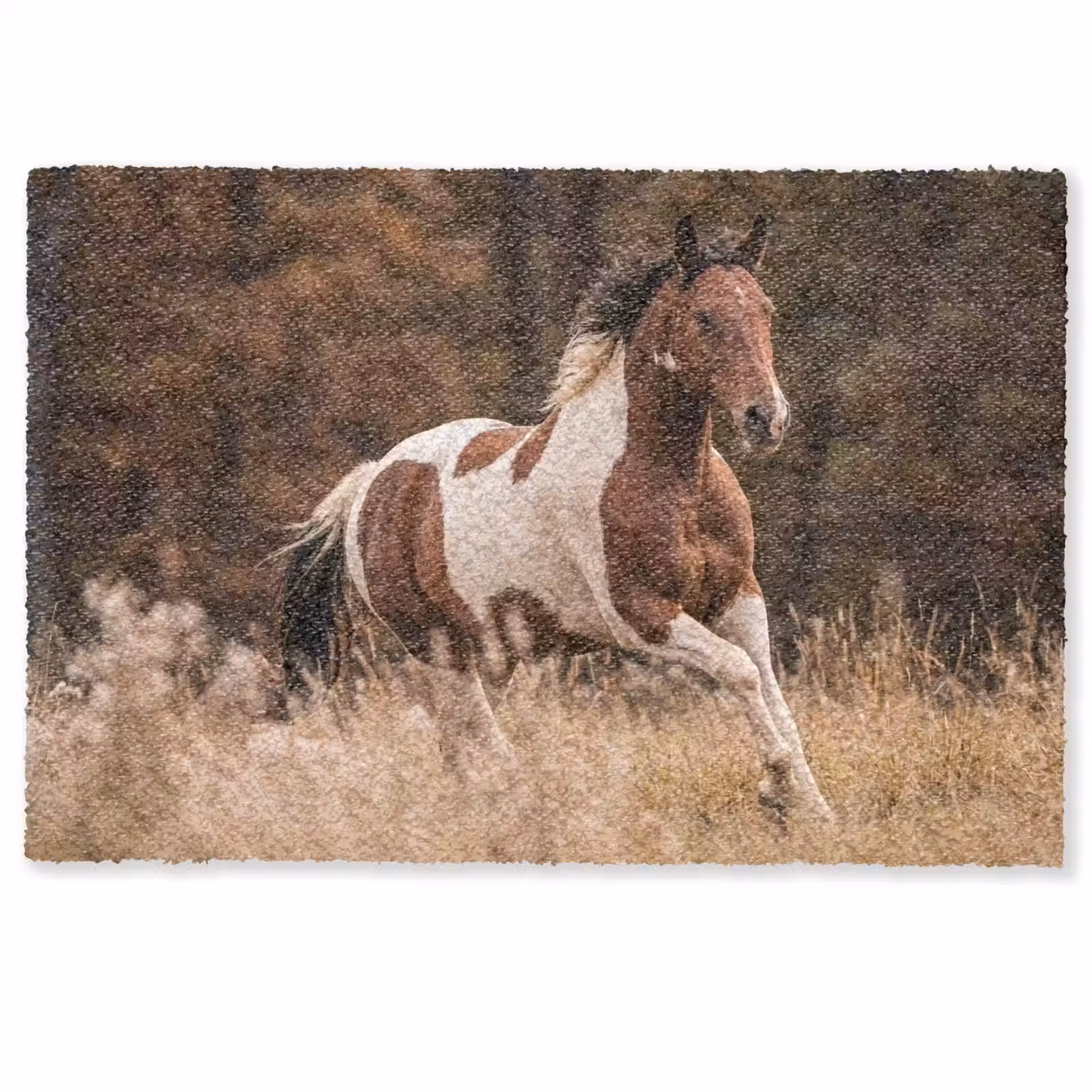 Deurmat - Paard - Bruin - Gras — 1