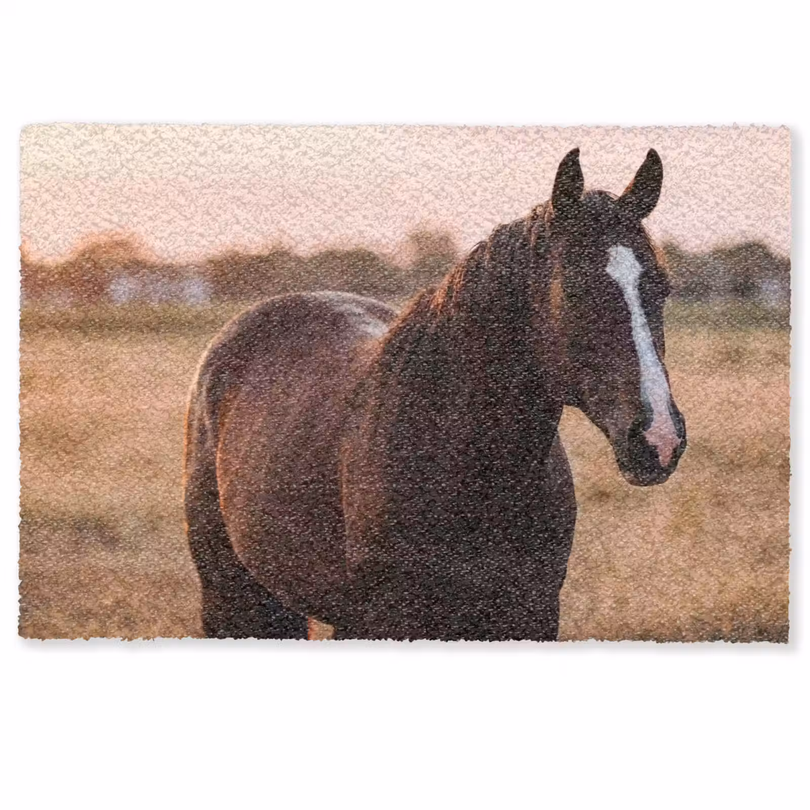 Deurmat - Paard - Zonsondergang - Bruin — 1