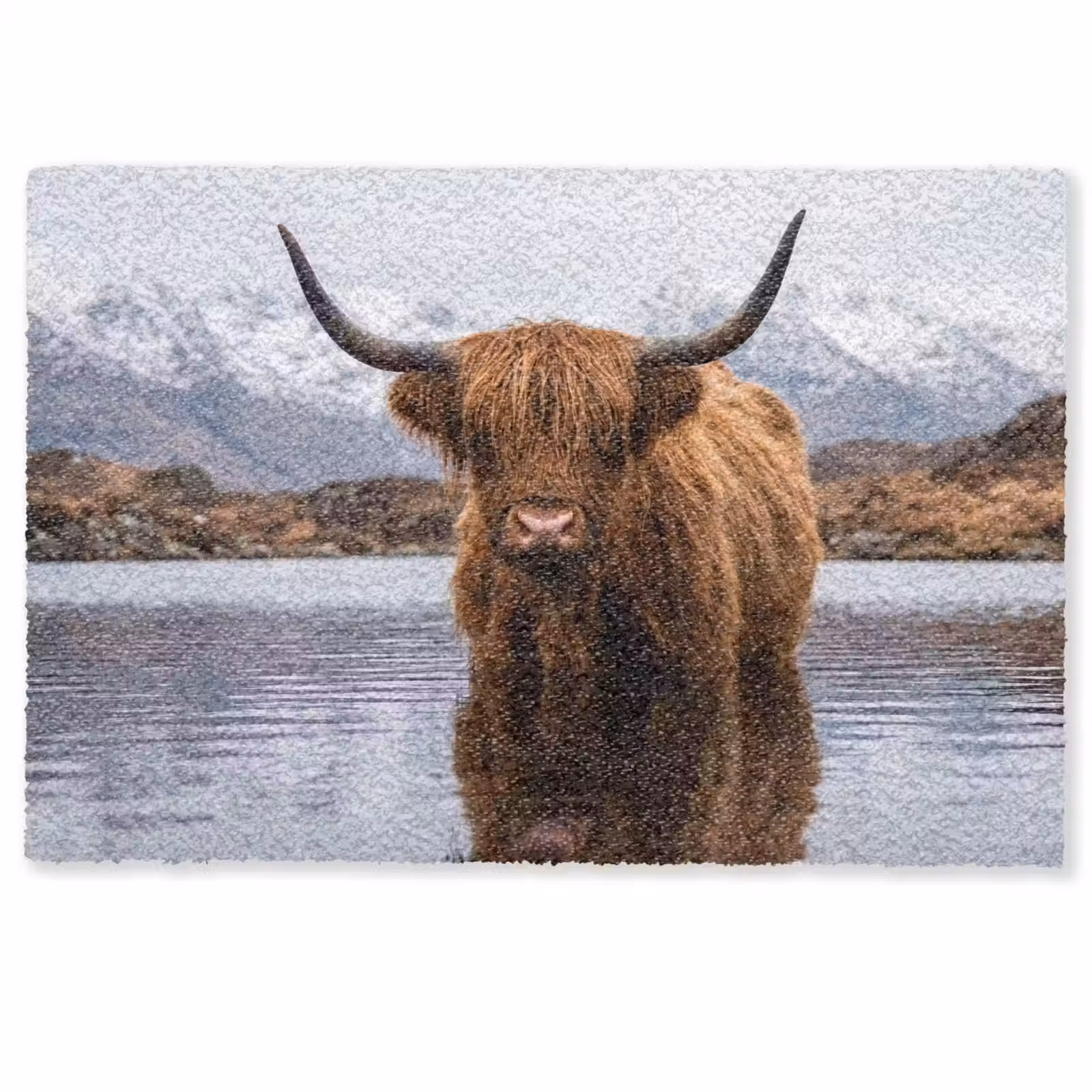 Deurmat - Schotse hooglander - Bruin - Water — 1