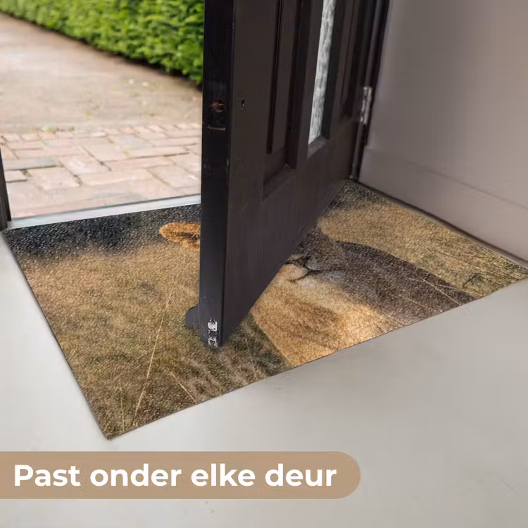 Deurmat - Leeuwin - Gras - Geel — 7