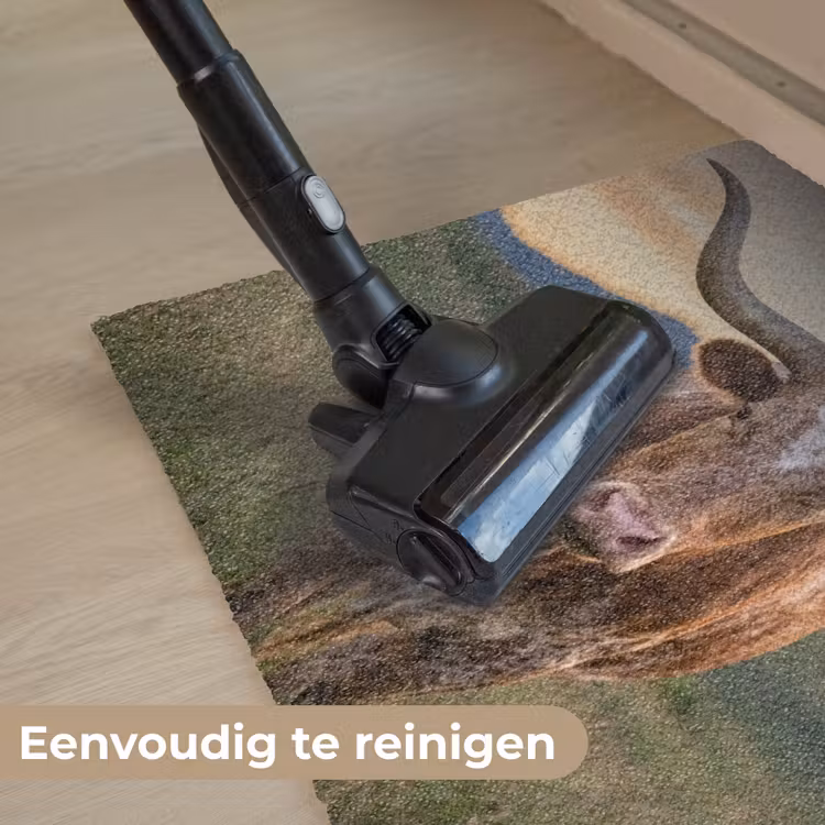 Deurmat - Longhorn - Landschap - Zonsondergang — 9