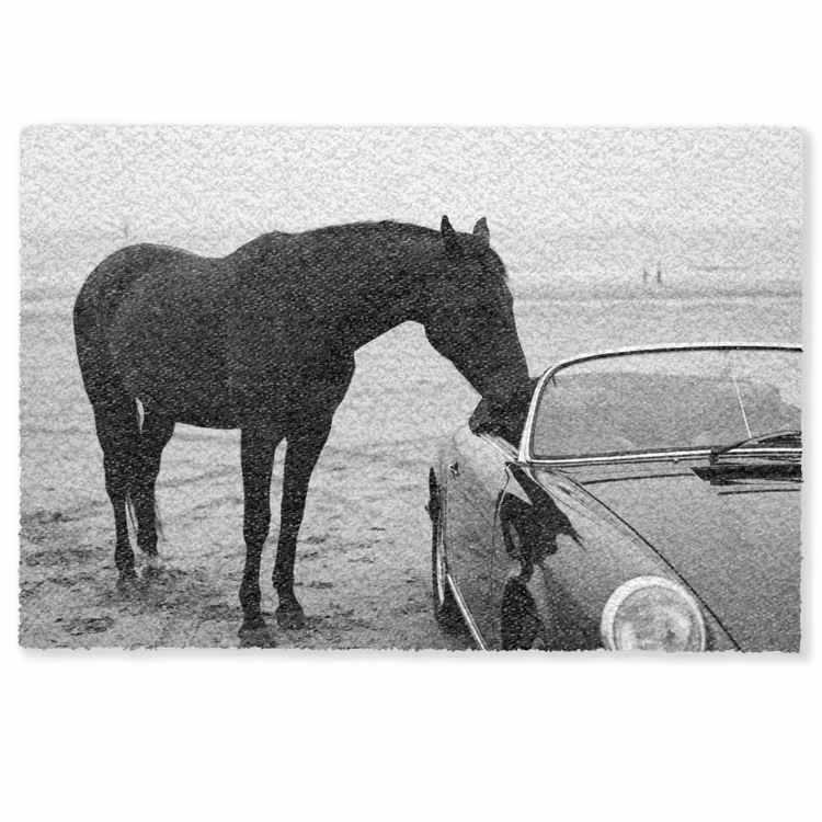 Deurmat - Paard - Auto - Zwart - Wit — 1