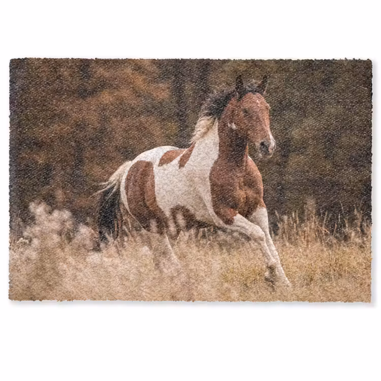 Deurmat - Paard - Bruin - Gras — 1