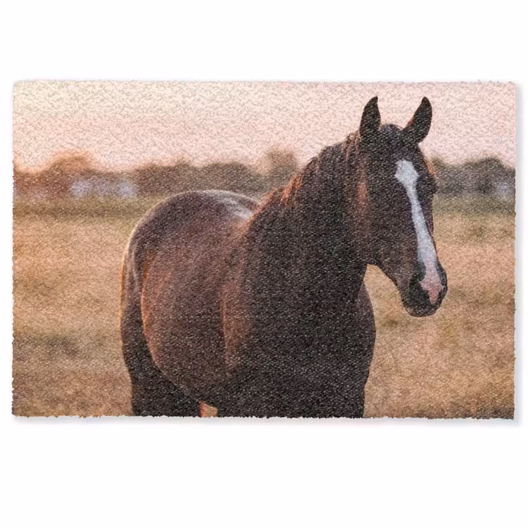Deurmat - Paard - Zonsondergang - Bruin — 1