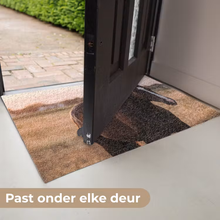 Deurmat - Paard - Zonsondergang - Bruin — 7