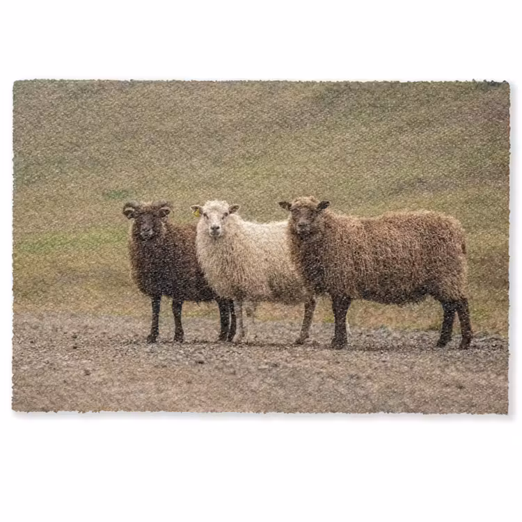 Deurmat - Schapen - Bruin - Wit - Grindpad — 1