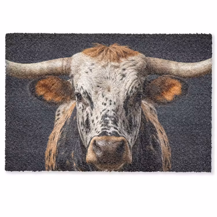Deurmat - Stier - Kleurrijk - Hoorns — 1