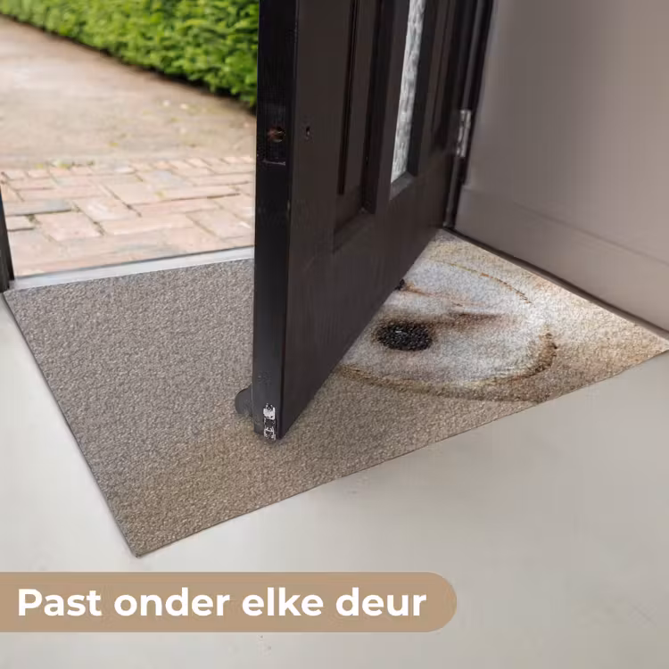 Deurmat - Uil - Bruin - Wit — 7