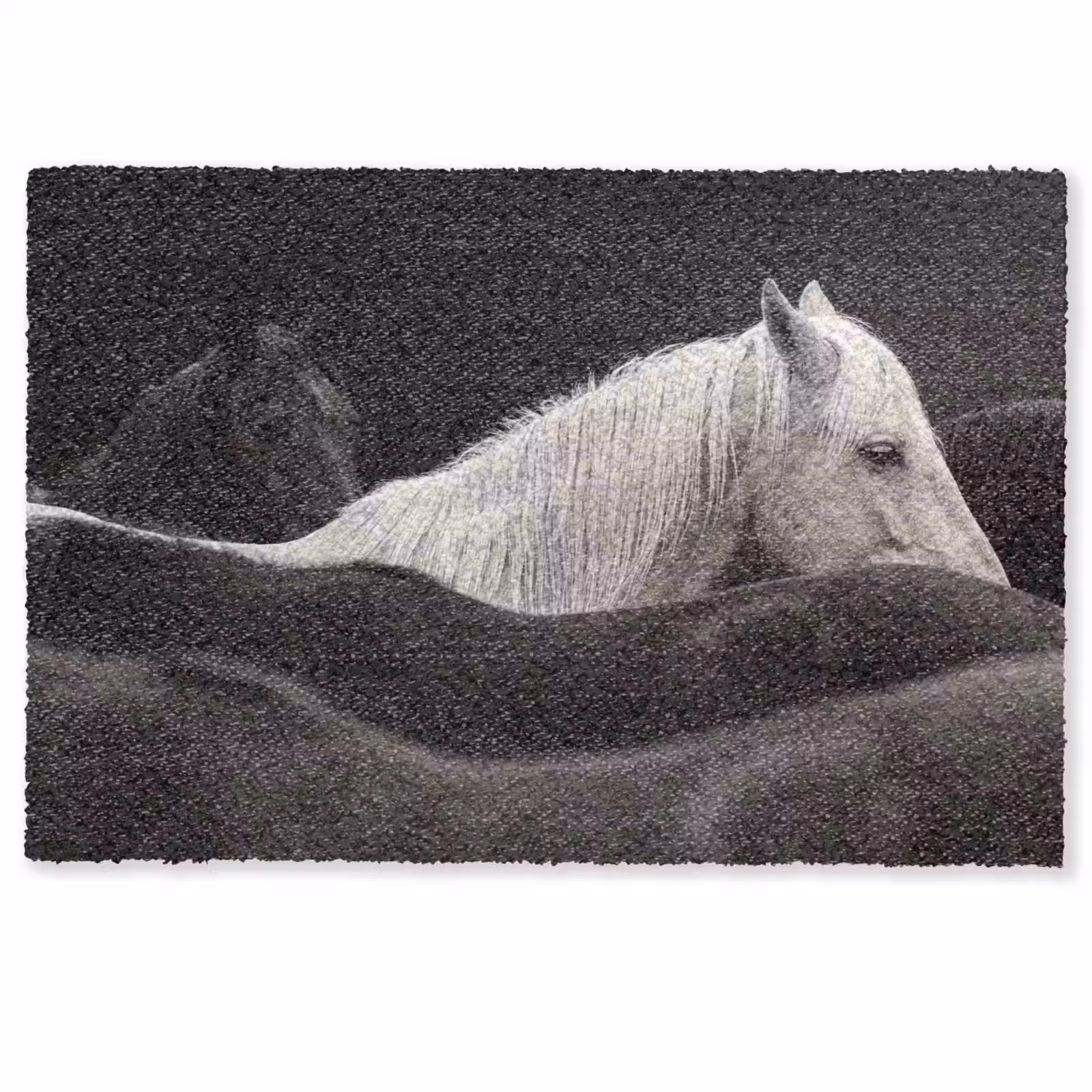 Deurmat - Paarden - Zwart - Wit - Kudde — 1