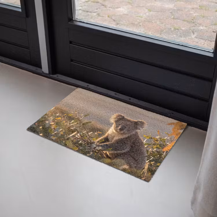 Deurmat - Koala - Bladeren - Ochtendlicht — 2