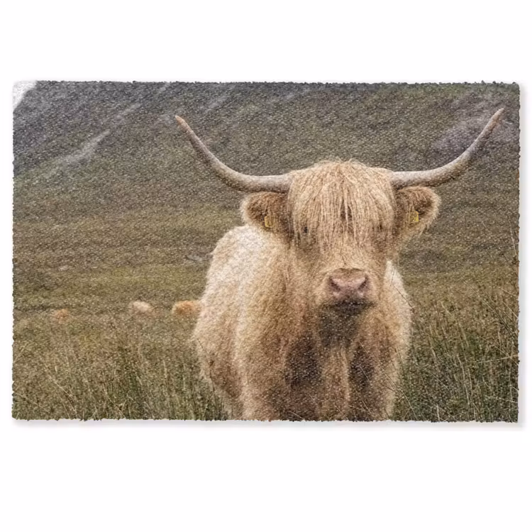 Deurmat - Schotse hooglander - Bergen - Grasveld — 1