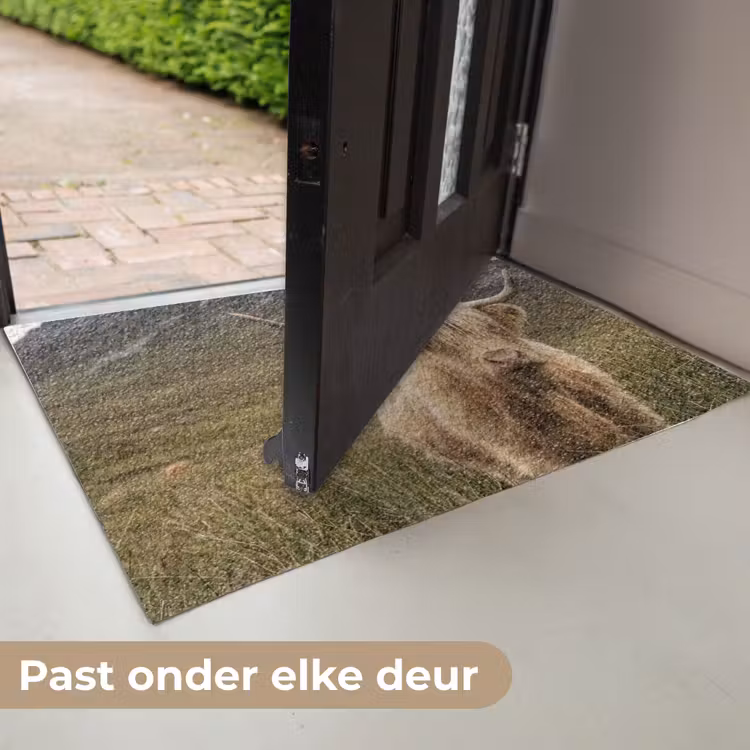 Deurmat - Schotse hooglander - Bergen - Grasveld — 7