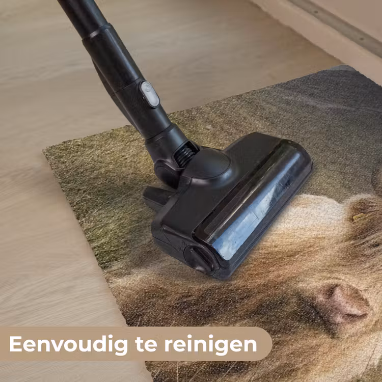 Deurmat - Schotse hooglander - Bergen - Grasveld — 9