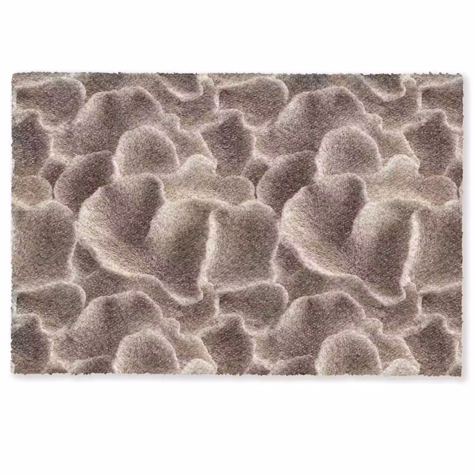 Deurmat - Waaiervorm - Beige - Vezel textuur — 1