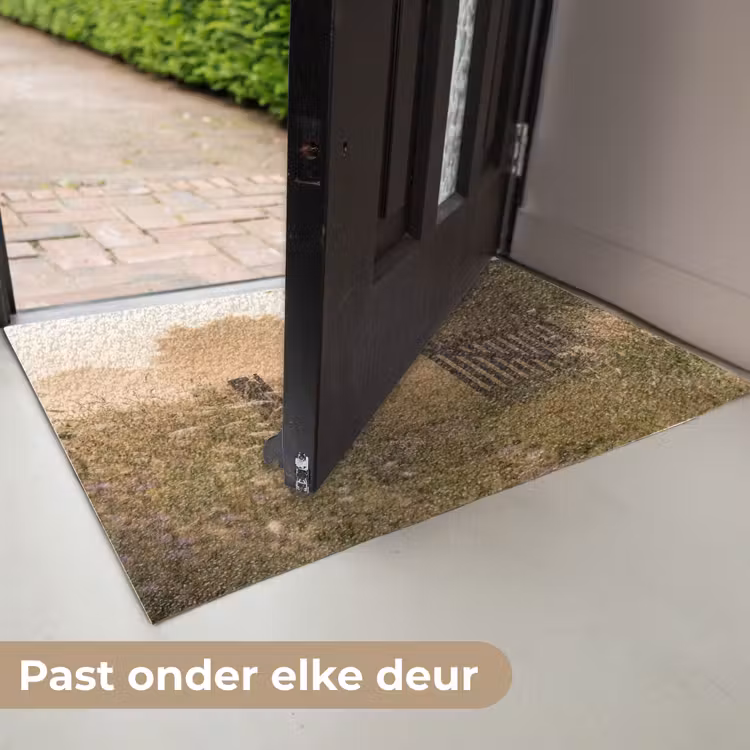 Deurmat - Hek - Natuur - Mist - Veld — 7