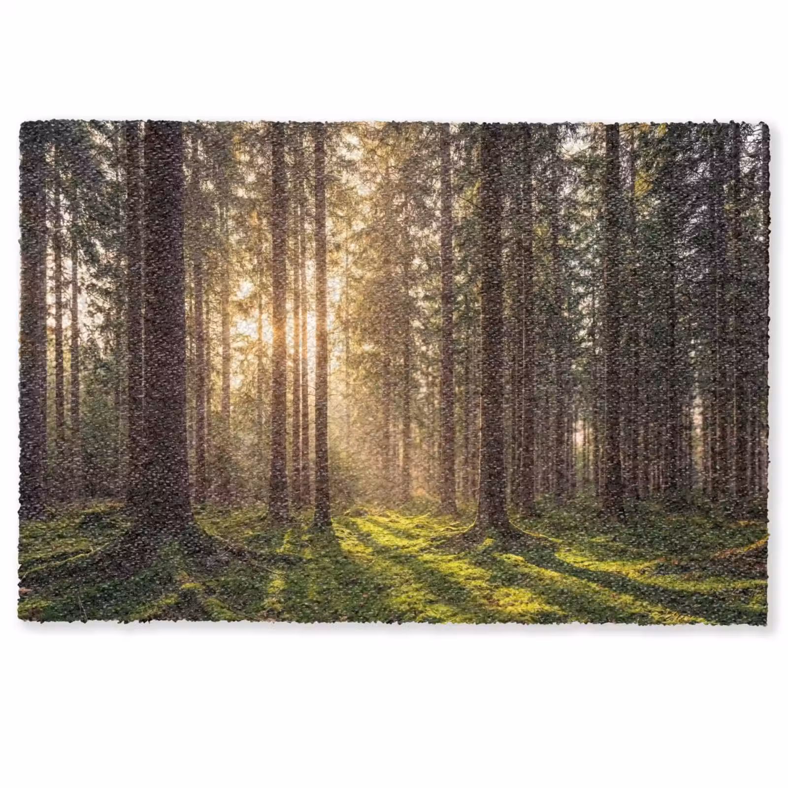 Deurmat - Bos - Gras - Zonlicht — 1
