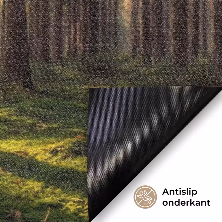 Deurmat - Bos - Gras - Zonlicht — 6