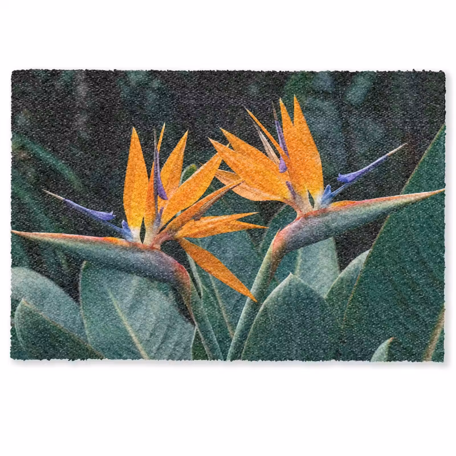 Deurmat - Paradijsvogel - Bloem - Exotisch — 1