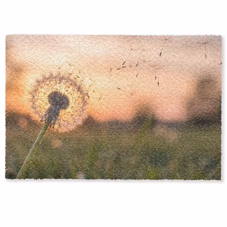 Deurmat - Paardenbloem - Zonsondergang - Veld — 1