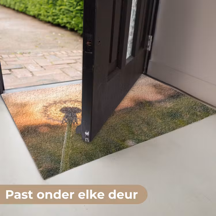 Deurmat - Paardenbloem - Zonsondergang - Veld — 7