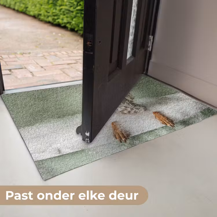 Deurmat - Hond - Bad - Champagne - Handdoek — 7