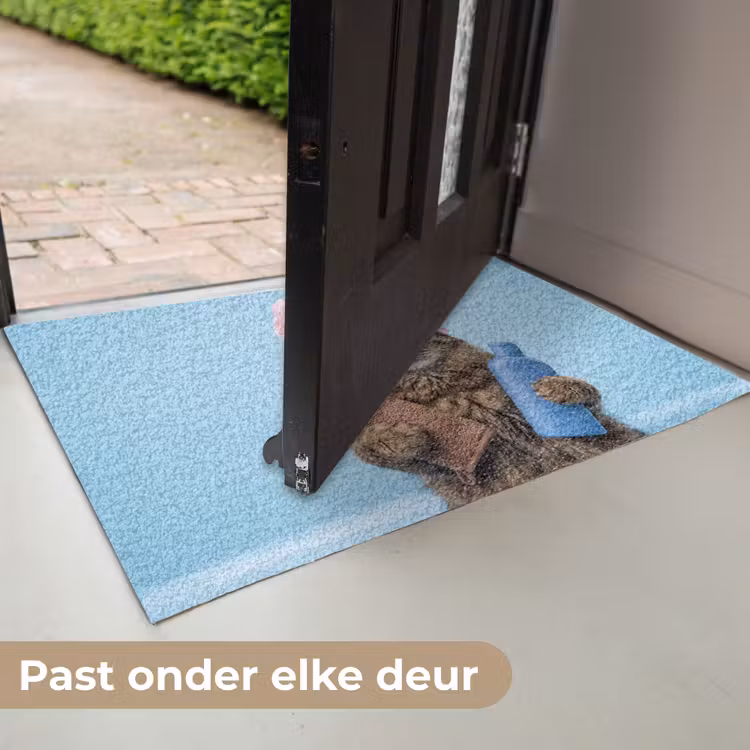 Deurmat - Kat - Handdoek - Washand - Zeep — 7