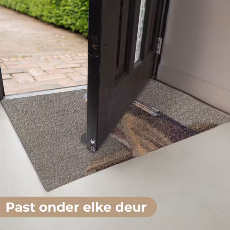 Deurmat - Klassiek - Humor - Kleurrijk — 7