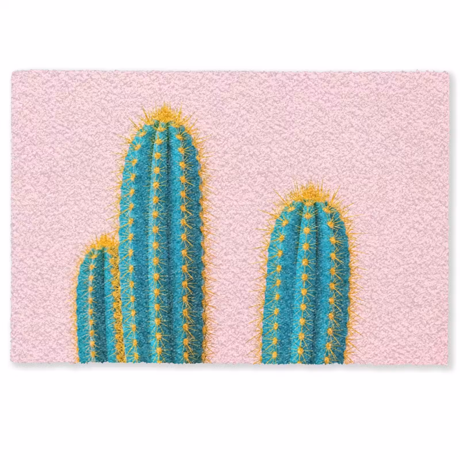 Deurmat - Cactussen - Modern - Pastel — 1