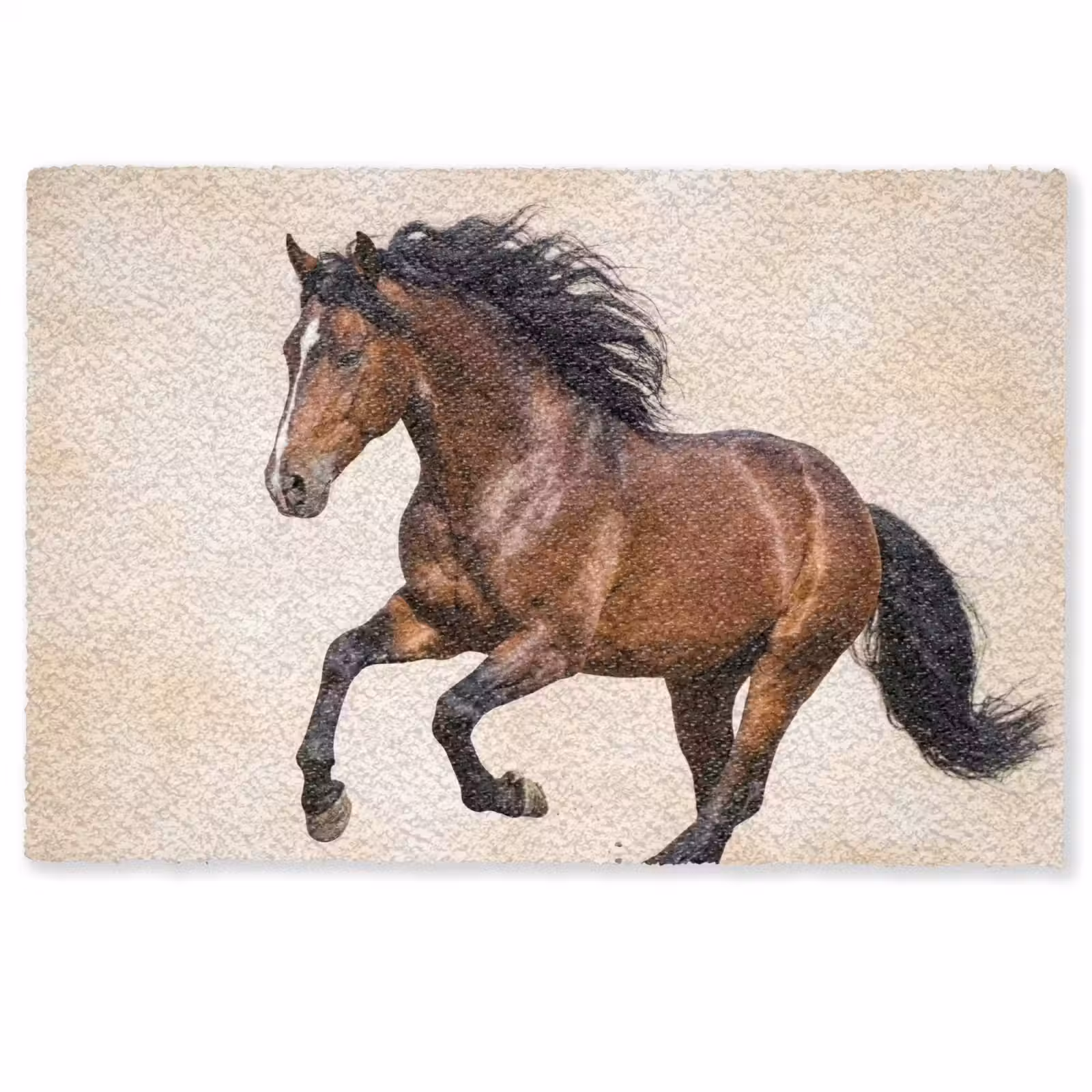 Deurmat - Paard - Galop - Energie — 1