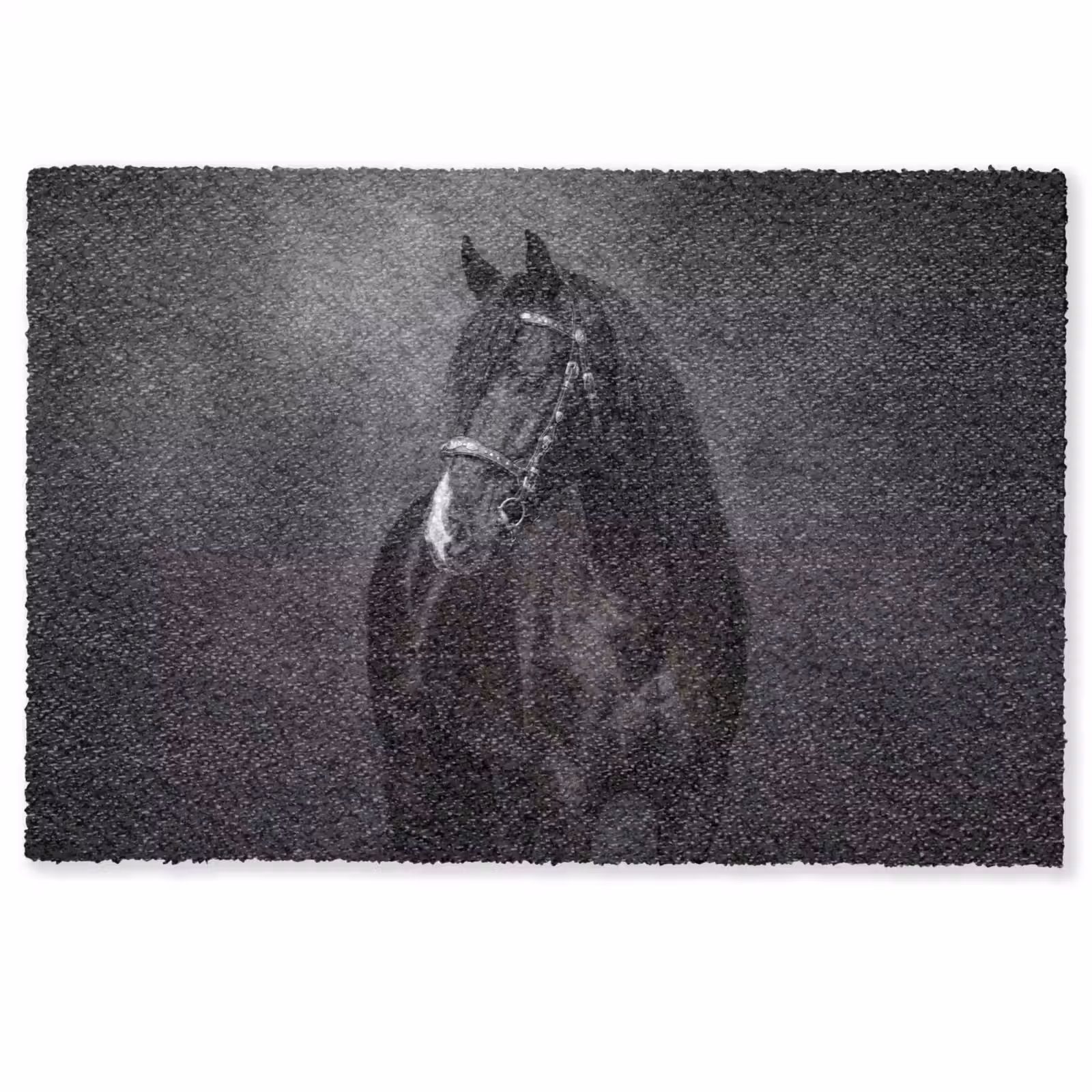 Deurmat - Portret - Paard - Zwart — 1