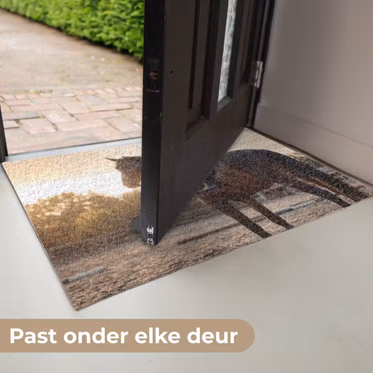 Deurmat - Harmonie - Ruiter - Zon — 6