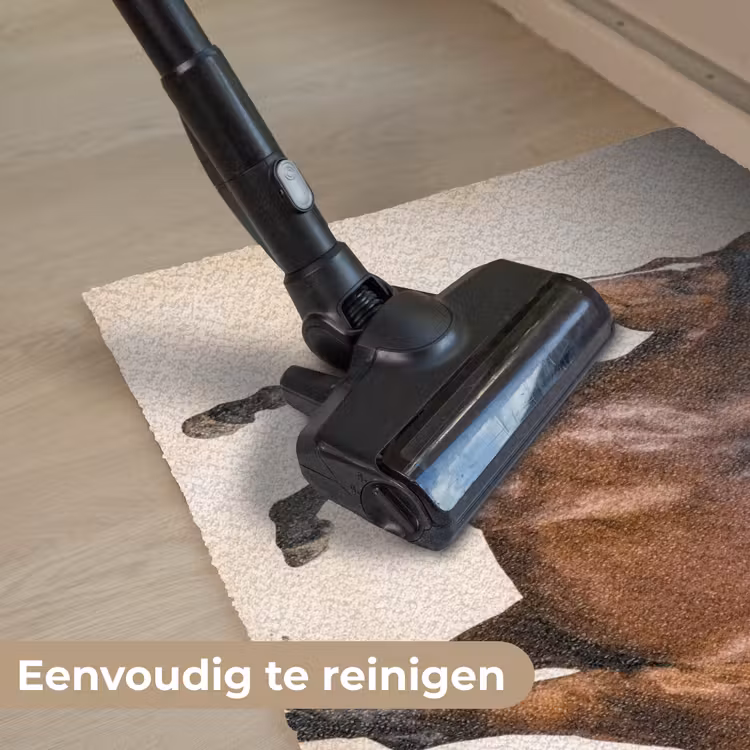 Deurmat - Paard - Galop - Energie — 8