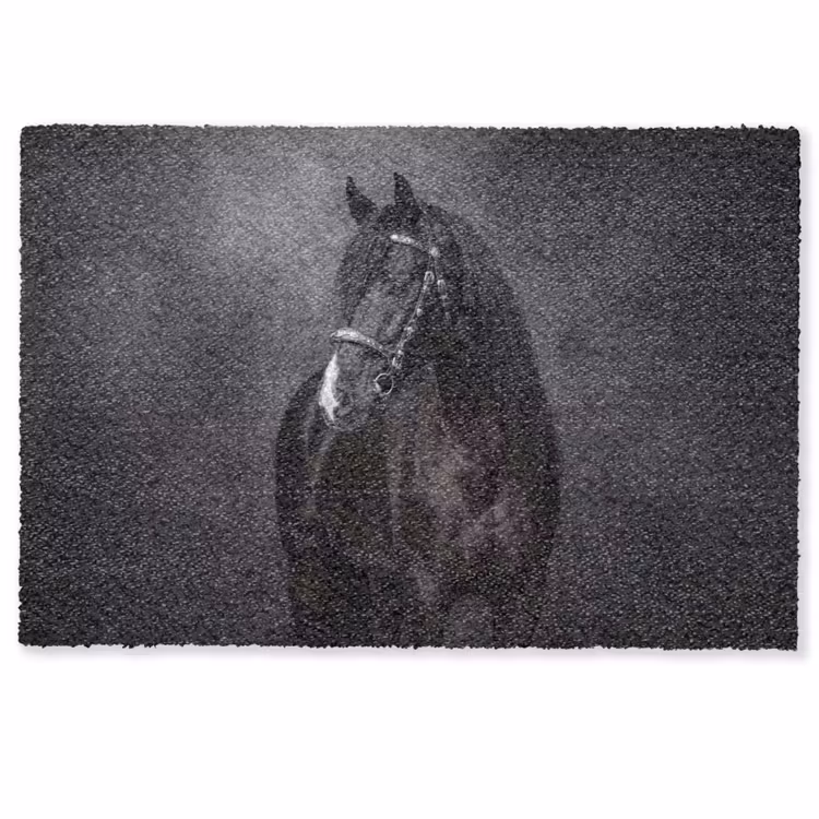 Deurmat - Portret - Paard - Zwart — 1